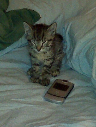 Oliver